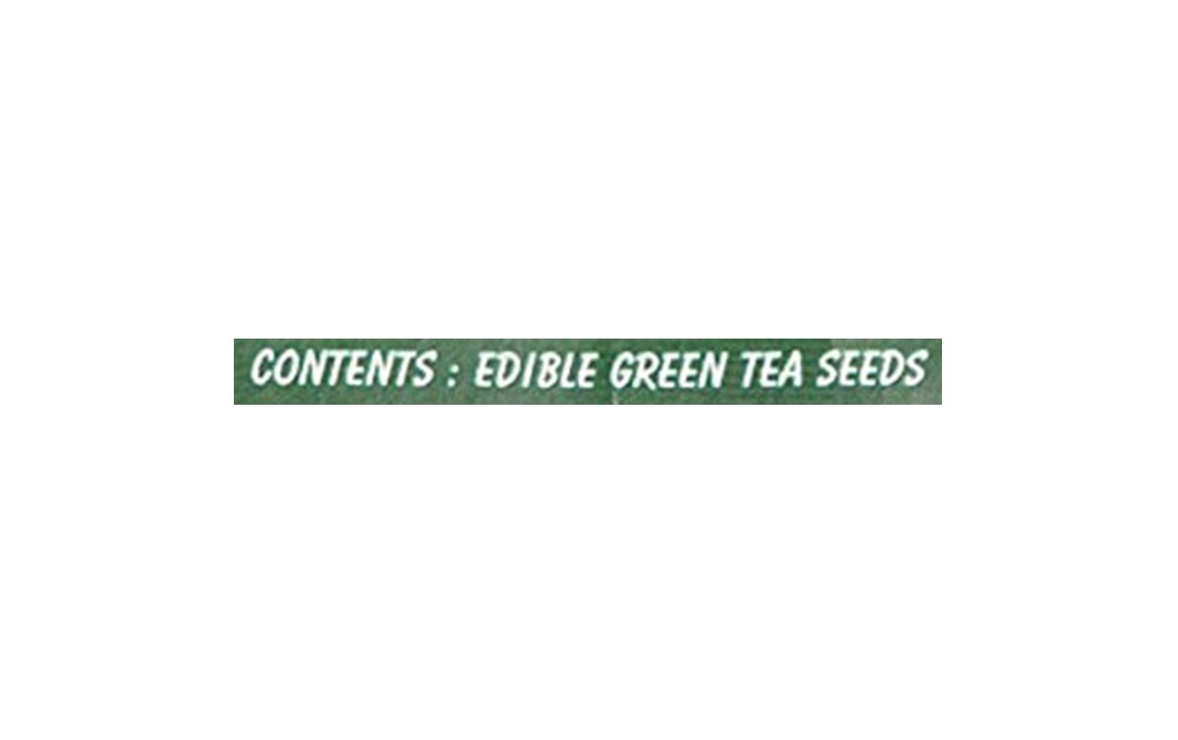 Green Wealth Whole Green Tea Seeds    Pack  100 grams